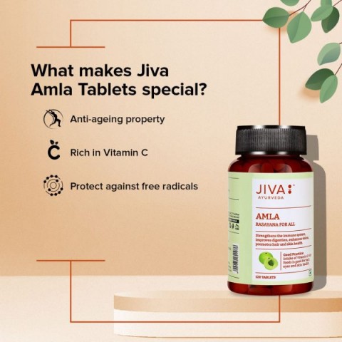 Amla, Jiva Ayurveda, 120 tablets