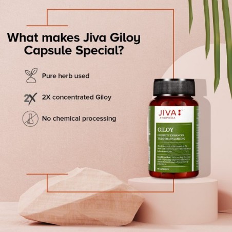 Giloy Guduchi, Jiva Ayurveda, 60 kapslit