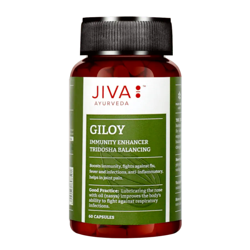 Giloy Guduchi, Jiva Ayurveda, 60 kapslit Giloy Guduchi, Jiva Ayurveda, 60 kapslit