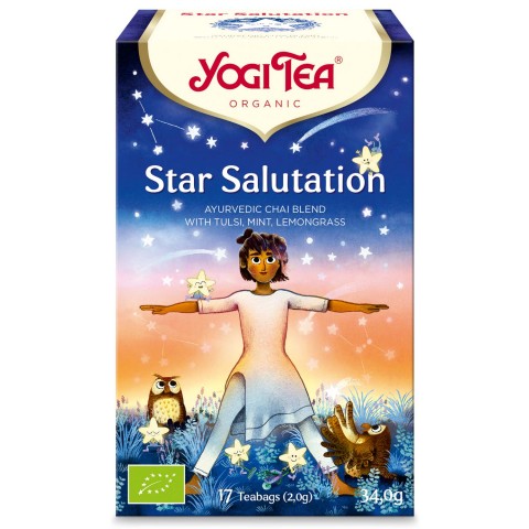 Vürtsitee Star Salutation, Yogi Tea, 17 pakki