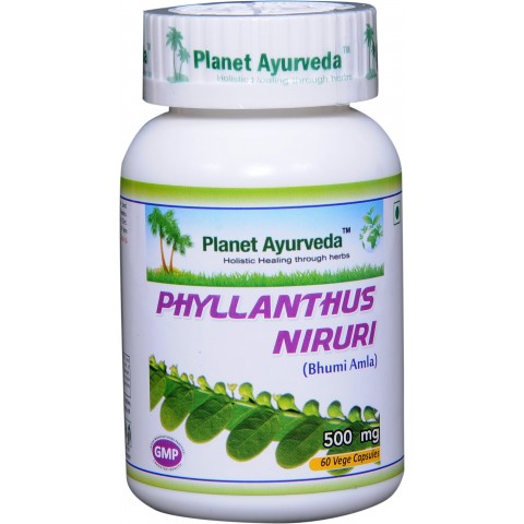 Toidulisand Phyllanthus Niruri, Planet Ayurveda, 60 kapslit