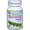 Toidulisand Phyllanthus Niruri, Planet Ayurveda, 60 kapslit