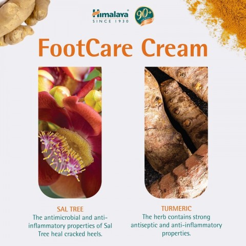 Foot cream for dry skin with turmeric and fenugreek, Himalaya, 75g