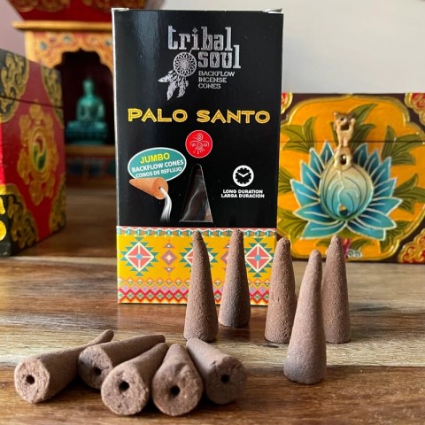Reverse cone incense Palo Santo, Tribal Soul, 15g
