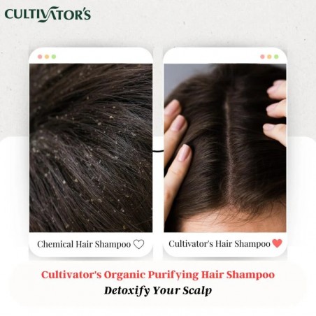 Purifying Herbal Hair Shampoo Powder, Cultivator's, 250g