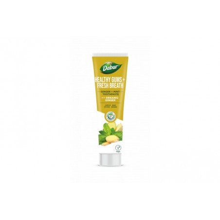 Taimne hambapasta Ginger Mint Healthy Gums, Dabur, 100 ml
