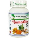 Пищевая добавка RumoGin 5, Planet Ayurveda, 60 капсул