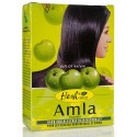 India Amalaki pulber Amla, Hesh, 100g