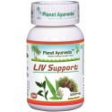 Toidulisand Liv Support, Planet Ayurveda, 60 kapslit