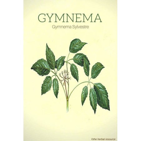 Toidulisand Gymnema Sylvestrae, Planet Ayurveda, 60 kapslit