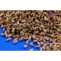 Ajwain köömne seemned, TRS, 100g