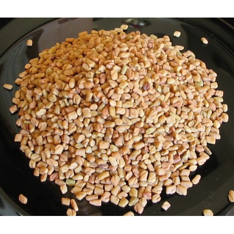 Fenugreek seeds Methi, TRS, 100g