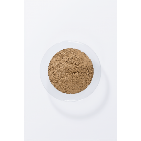 Аюрведический сухой шампунь Sensitive Herbal Wash, Кхади, 50г
