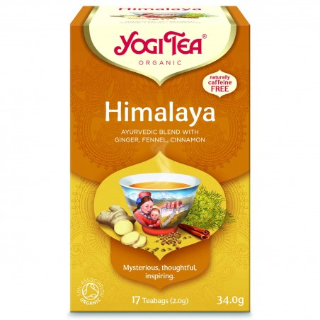 Prieskoninė Himalajų arbata Himalaya, Yogi Tea, ekologiška, 17 pakelių