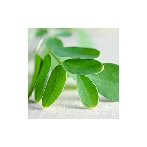 Šampūnas plaukų apimčiai Moringa & Neem, Ayumi, 250 ml