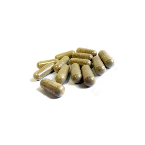 Toidulisand Brahmi, Planet Ayurveda, 60 kapslit